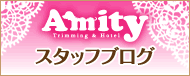 Amityスタッフブログ